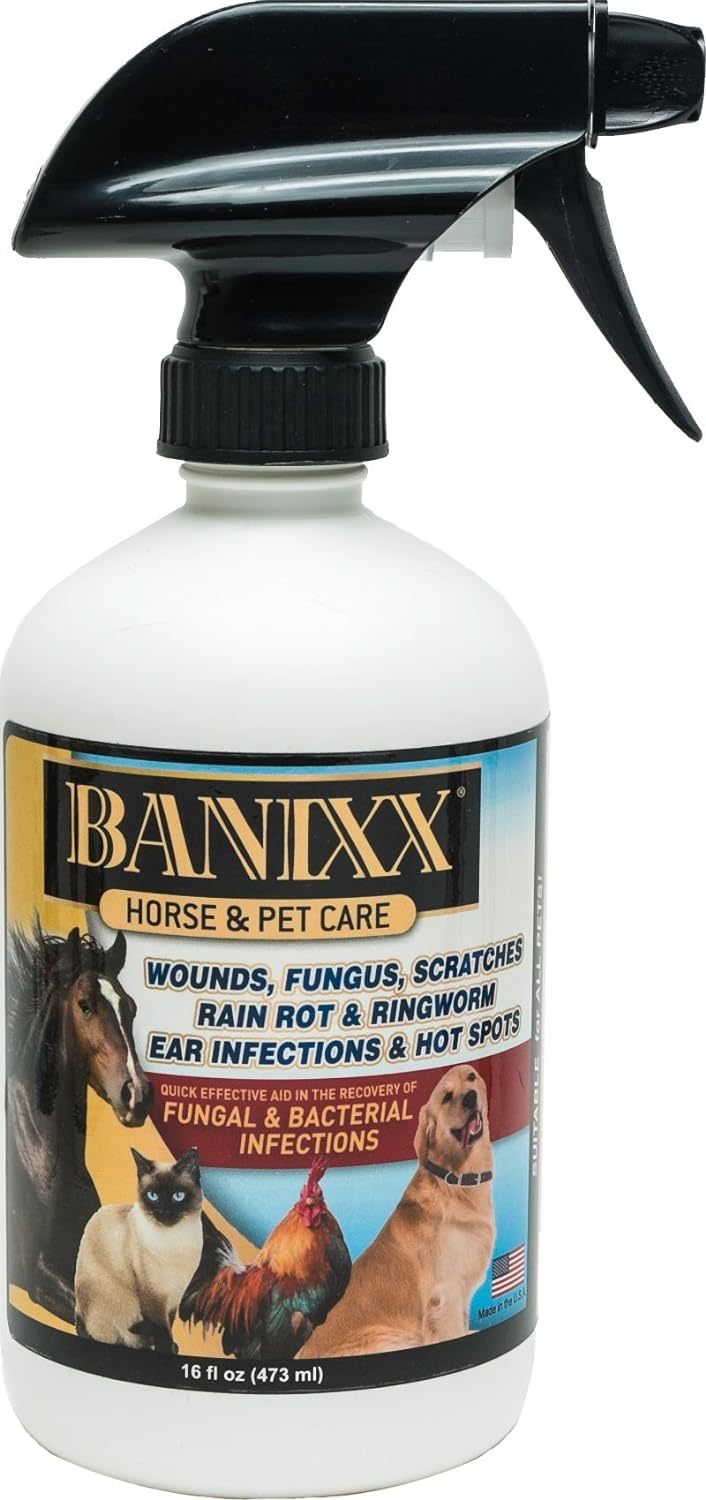 Amazon.com : Banixx Horse and Pet Care 16 oz : Horse Hoof Care : Pet  Supplies