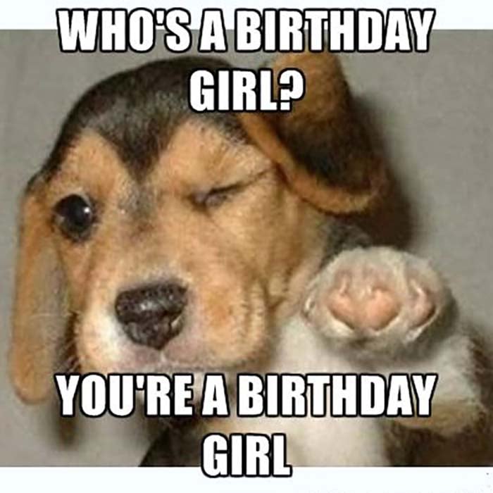 funny-birthday-girl-dog-meme.jpg