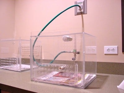 Oxygen cage