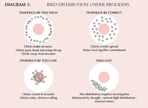 diagram%2525205.jpg