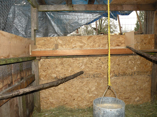 DSCN1463.jpg