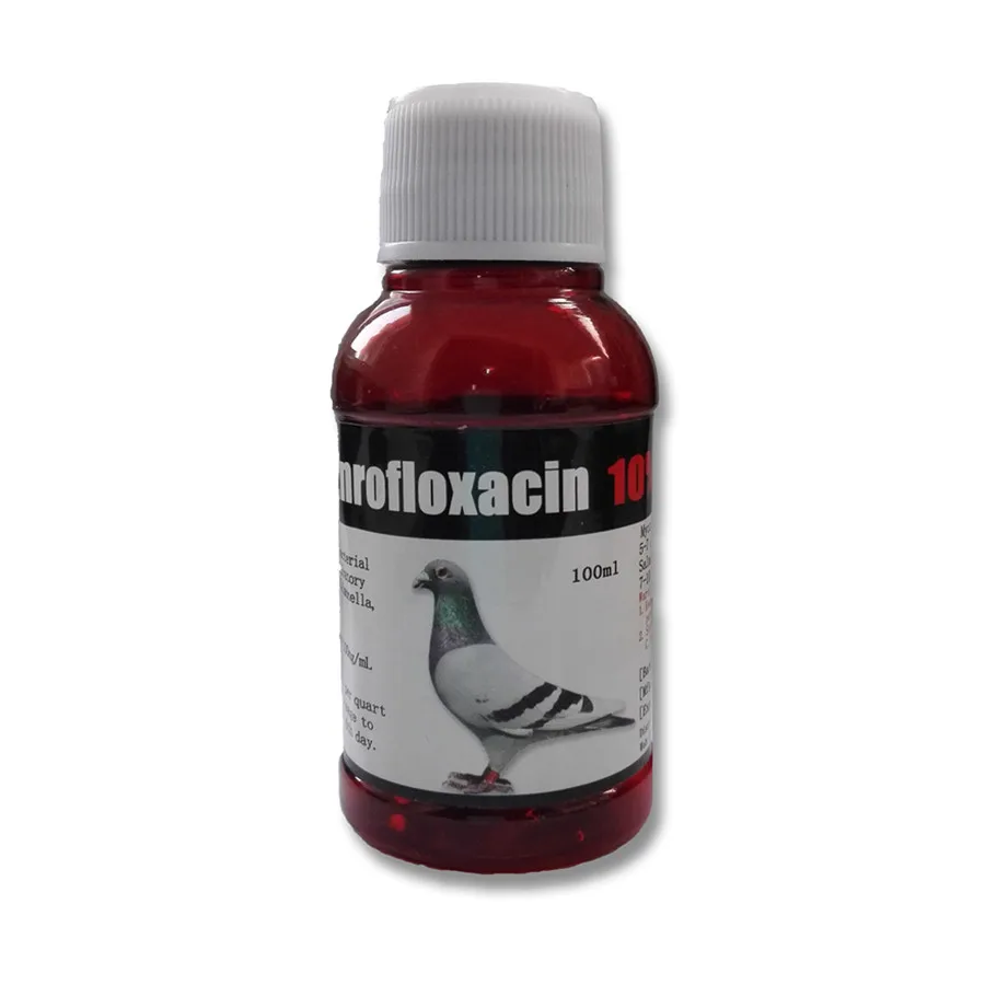Animal-Use-Medicine-Enrofloxacin-for-Pigeons-Oral.jpg