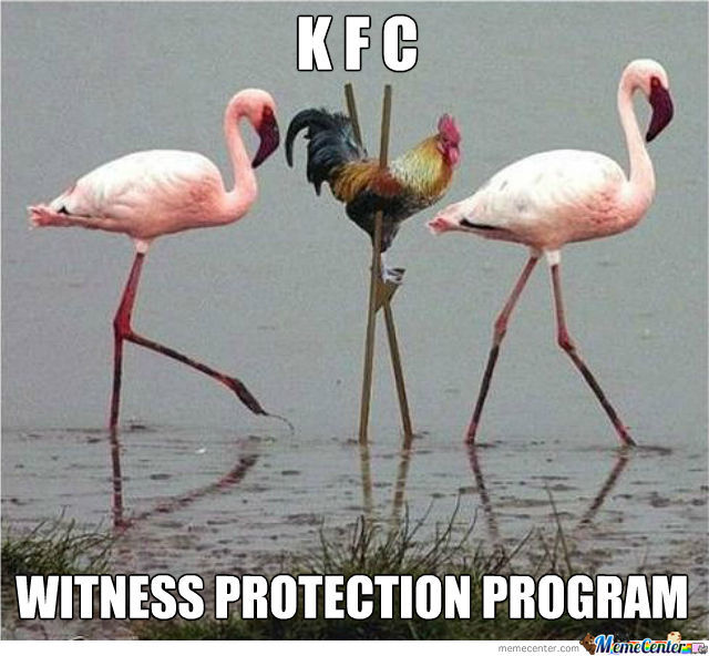 Funny-Chicken-Meme-Witness-Protection-Program-Image.jpg