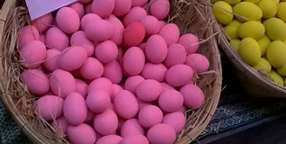 Image result for which chickens lay pink eggs