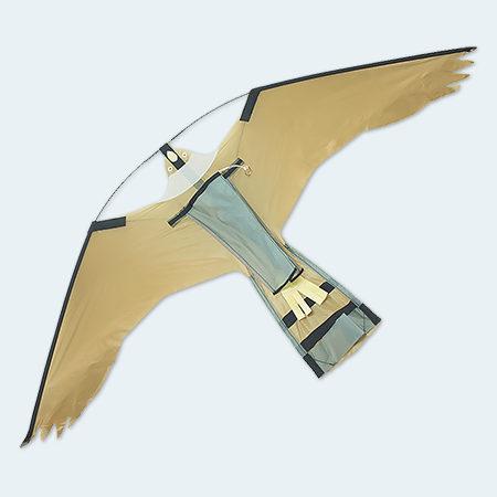 Falcon-Kite-Front-thumb.png