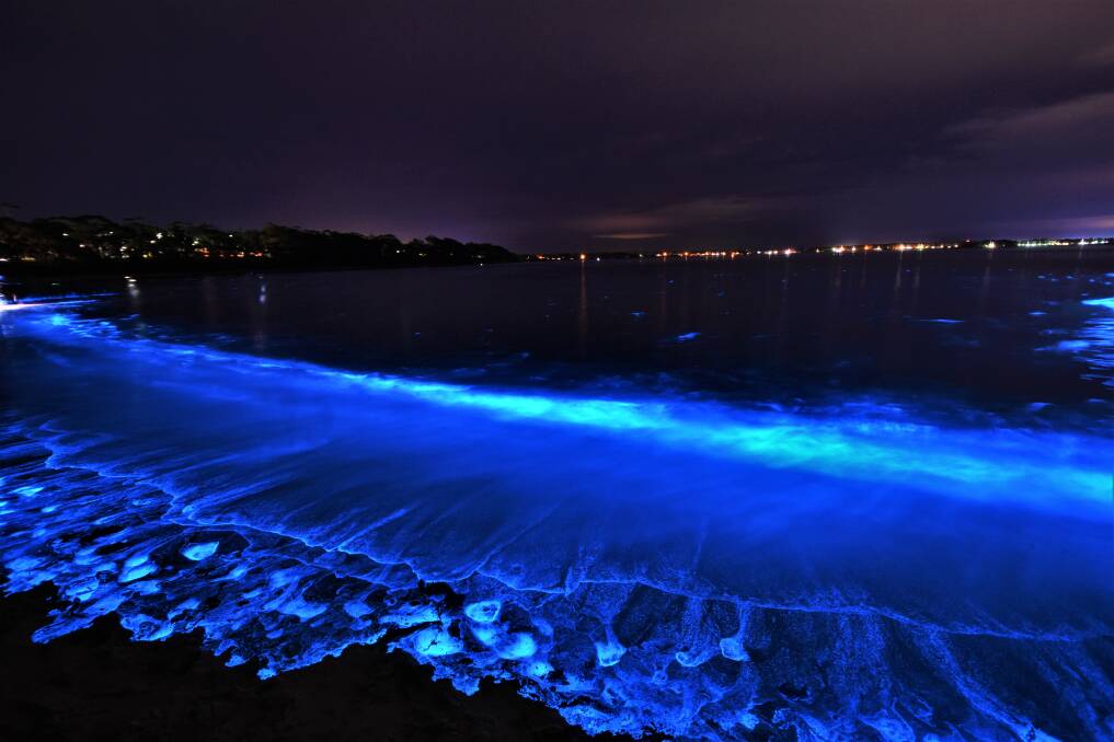 BRILLIANT DISPLAY: The bioluminescence is back in Jervis Bay putting on an incredible show, thrilling local residents. This is at Barfluer Beach. Photo: Dannie and Matt Connolly Photography BRILLIANT DISPLAY: The bioluminescence is back in Jervis Bay putting on an incredible show, thrilling local residents. This is at Barfluer Beach. Photo: Dannie and Matt Connolly Photography