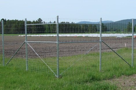 Steel rod and metal wire fence.
