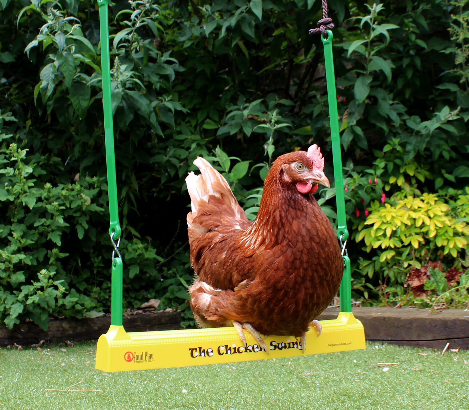 Chicken_swing_hanging_in_garden_3.jpg