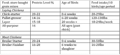how-to-raise-chickens-feed-chart-2.jpg