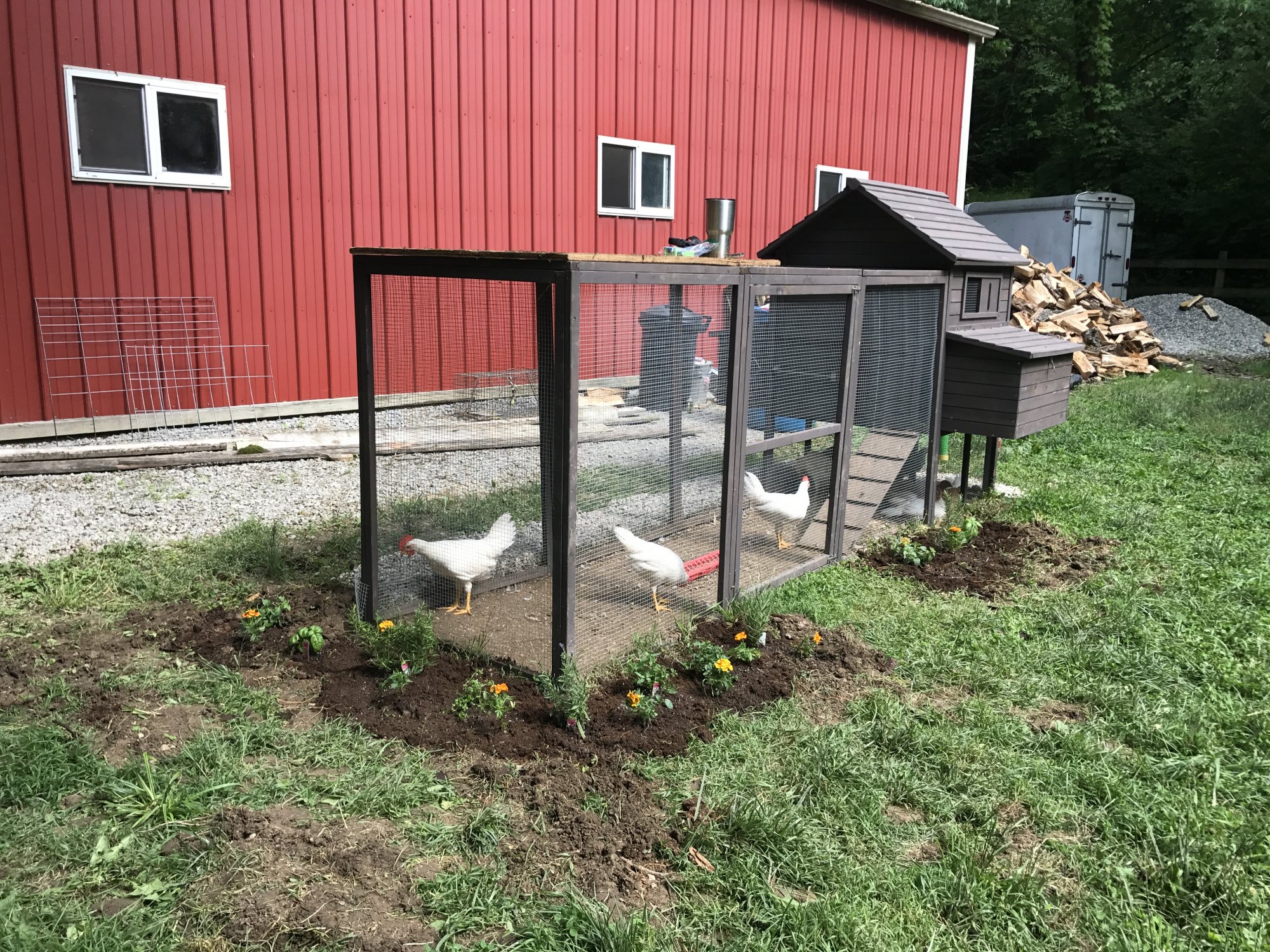 Chicken Coop Nw Coop Kit Backyard Chickens Learn How To Raise