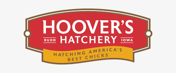 Hoover's Hatchery