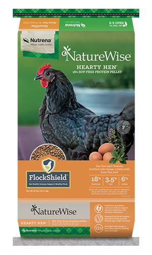 naturewise-hearty-hen.png