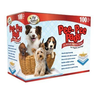 Pet select pee pee pads top